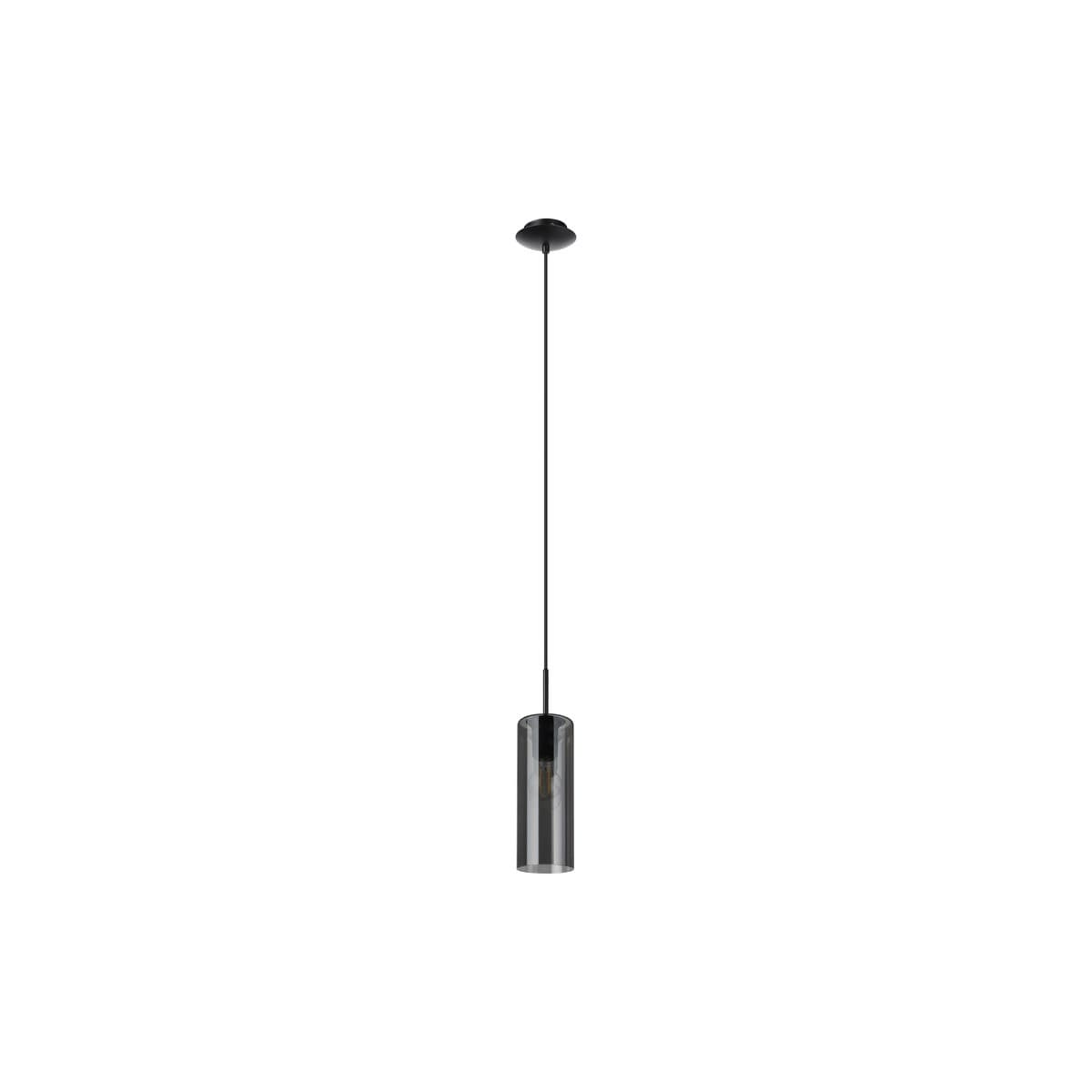 Form 1 Light Pendant in Black with Smoke Glass-img-1