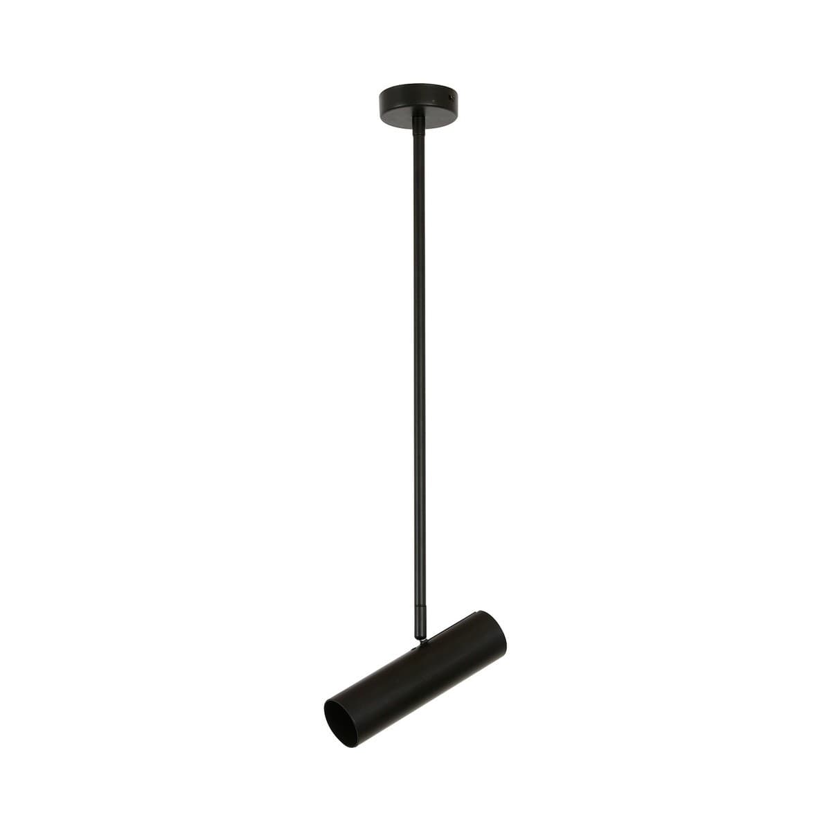 Nevada 1 Light Adjustable Spotlight Pendant in Black-img-1