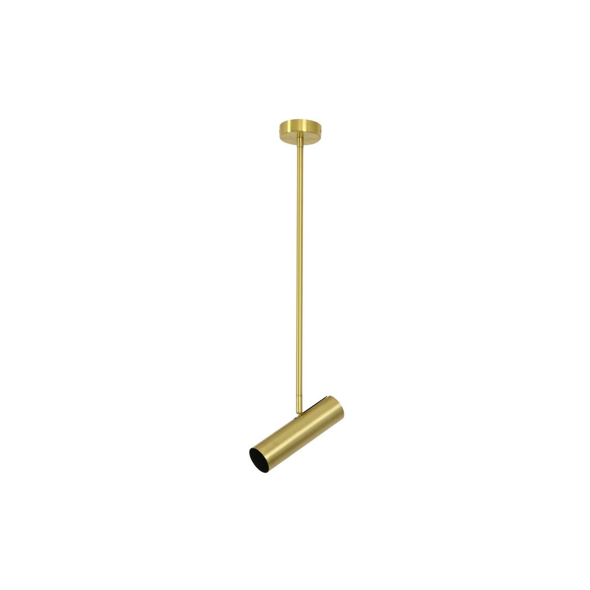 Nevada 1 Light Adjustable Spotlight Pendant in Brass