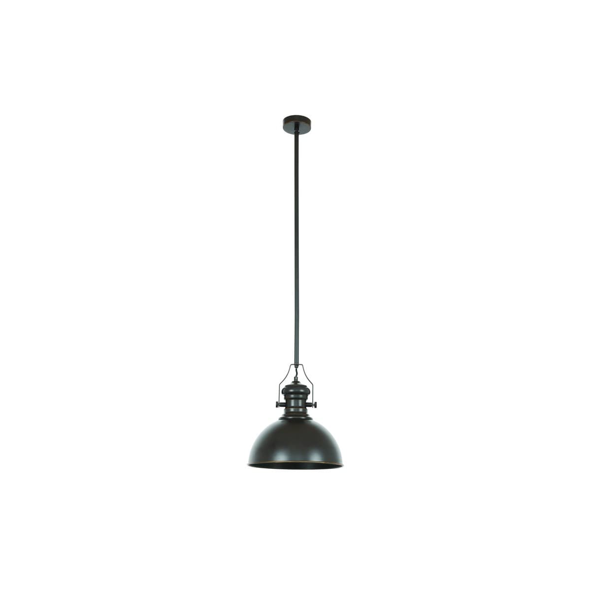 Alfred 1 Light Pendant in Oil Rubbed Bronze-img-1