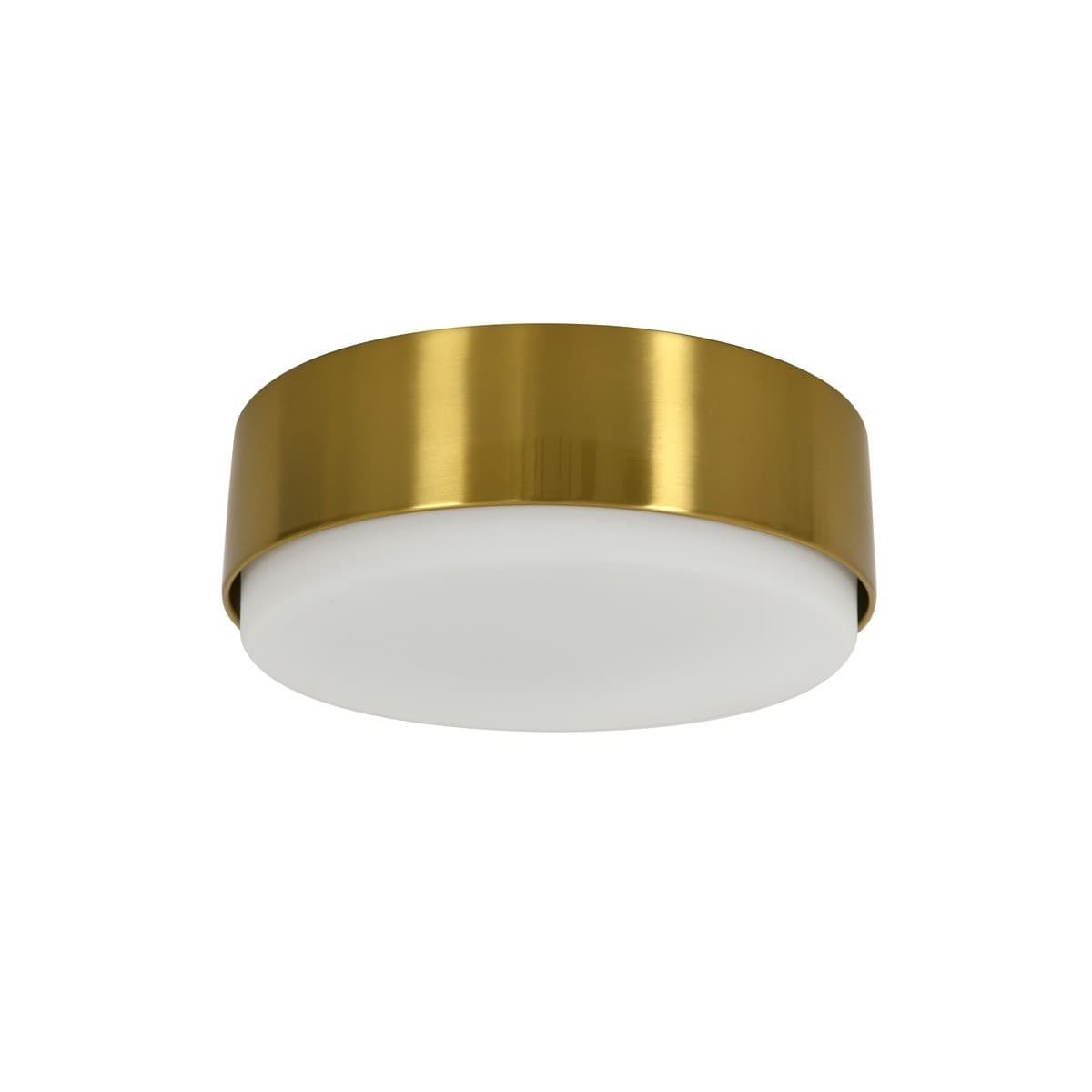 Bronx 1 Light 300mm Flush Mount in Aged Brass