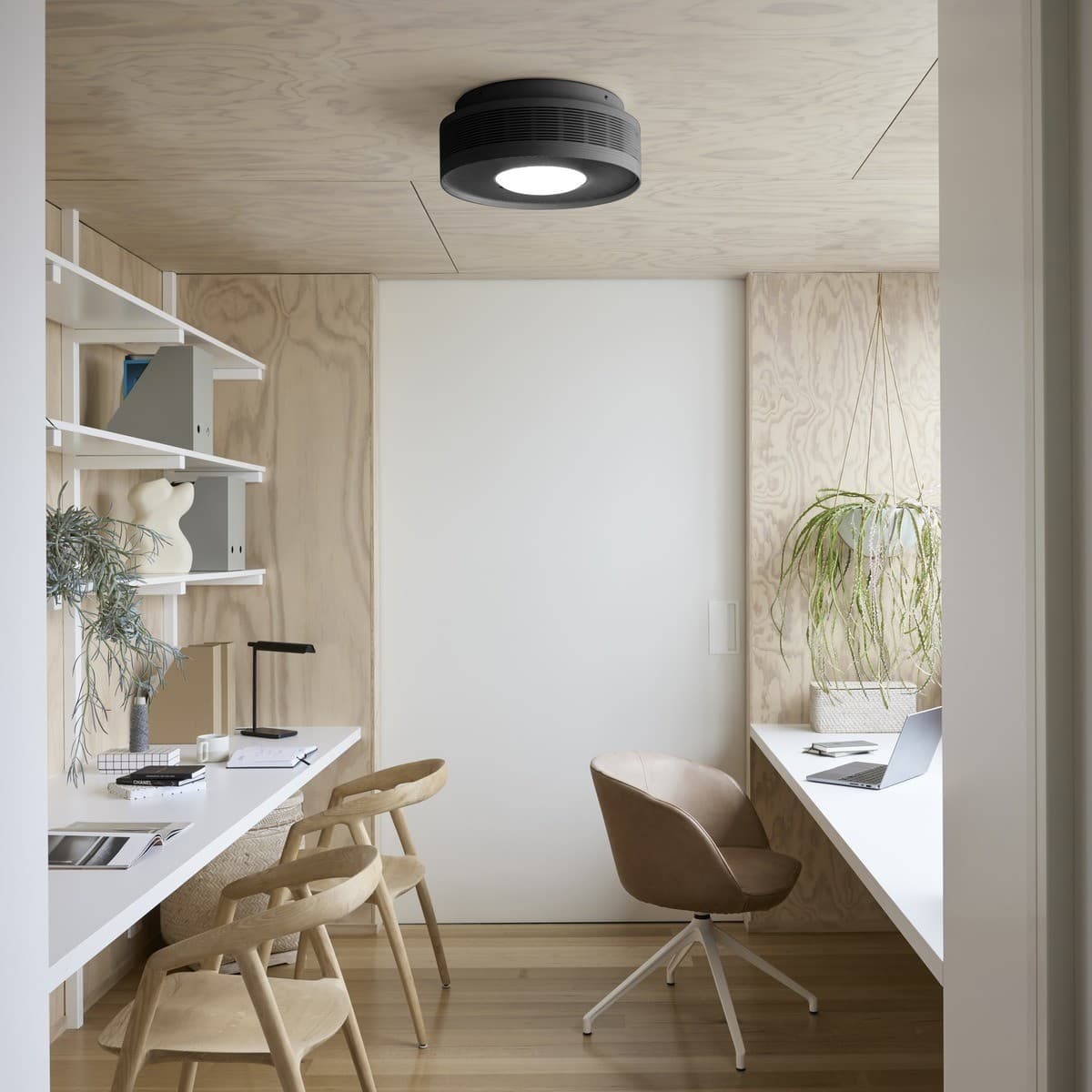 Sanso EvOne 3-in-1 Ceiling Mounted Air Purifier, Ioniser and Multi-Functional Light in Black-img-3