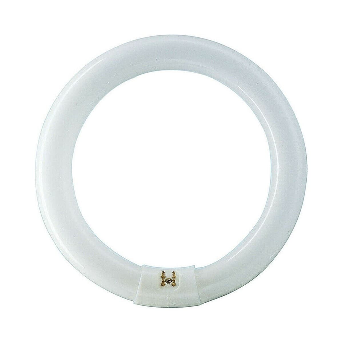 GE Circline 22W T9 Fluorescent in Daylight-img-1