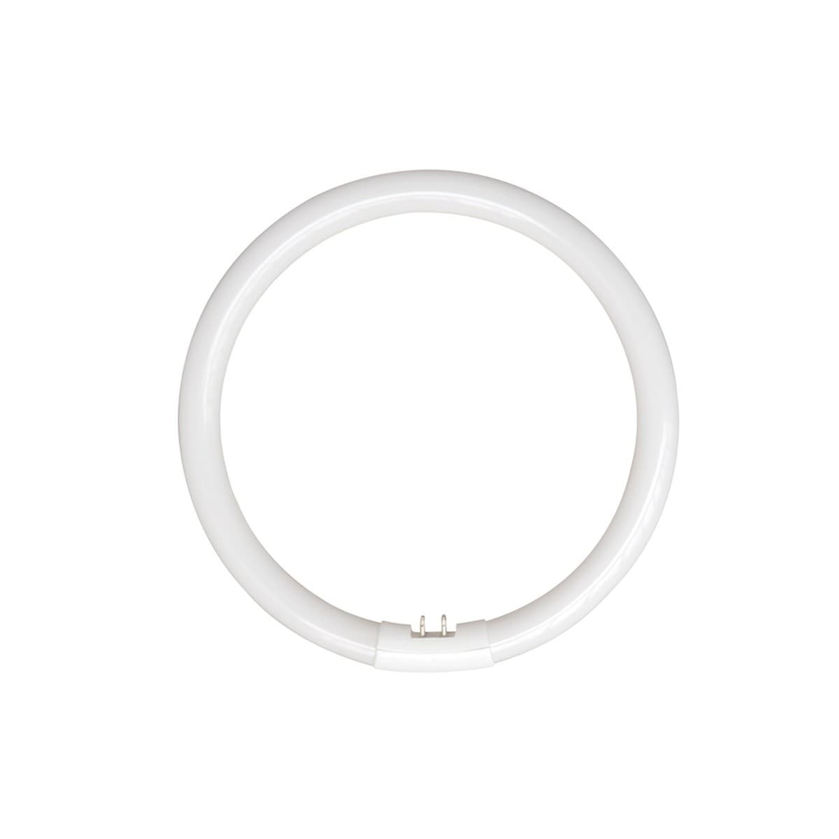 Envirolux 22W T5 Circular Fluorescent in Cool White-img-1