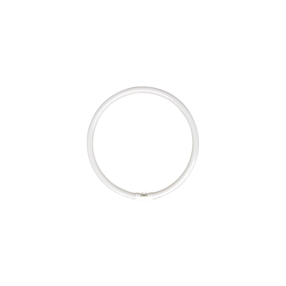 Envirolux 32W T5 Circular Fluorescent in Cool White-img-1