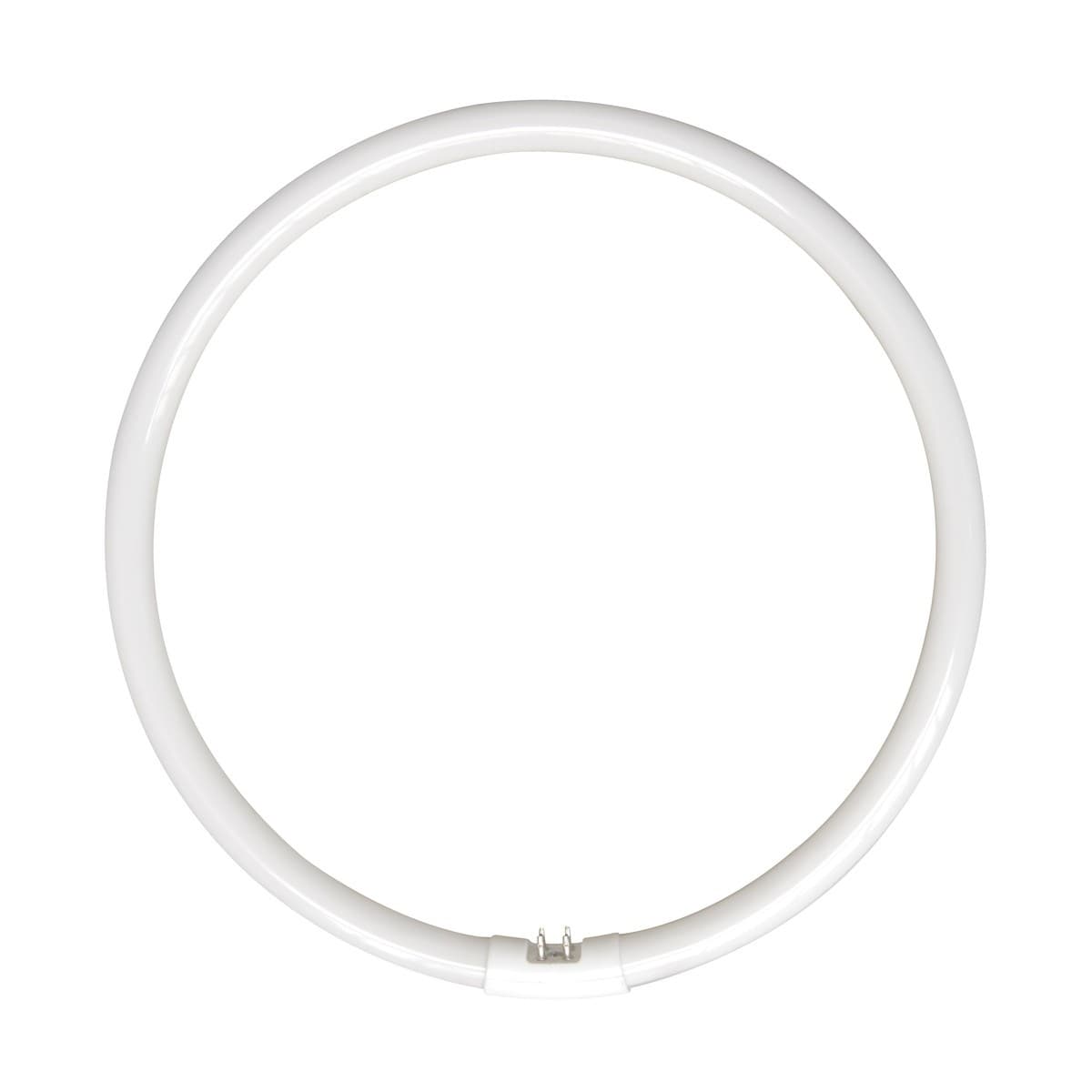 Envirolux 40W T5 Circular Fluorescent in Cool White-img-1