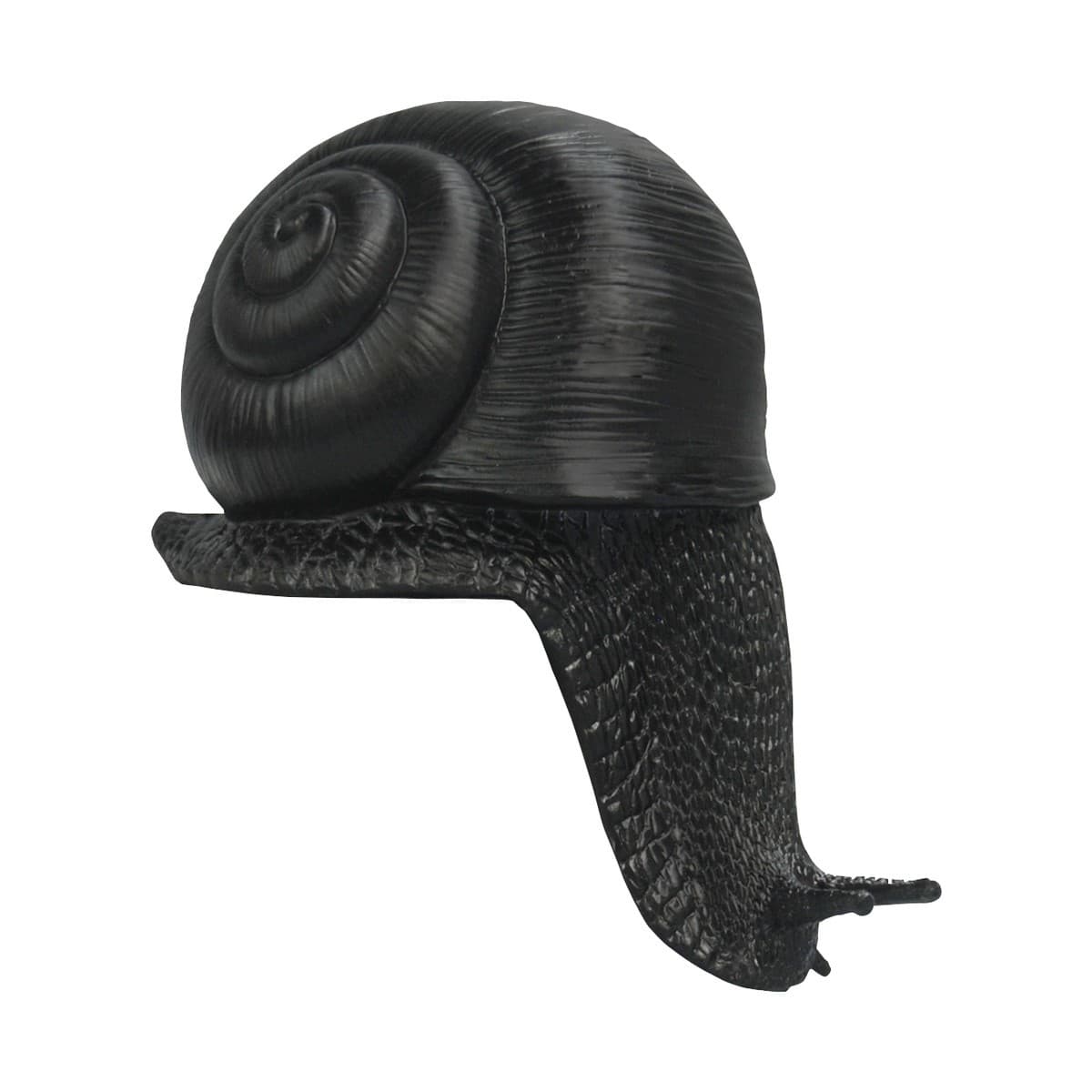 White Moose Snail in Black-img-1