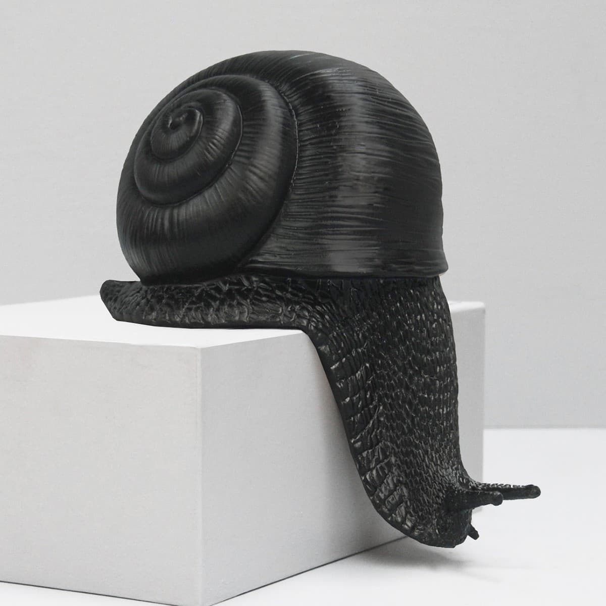 White Moose Snail in Black-img-2