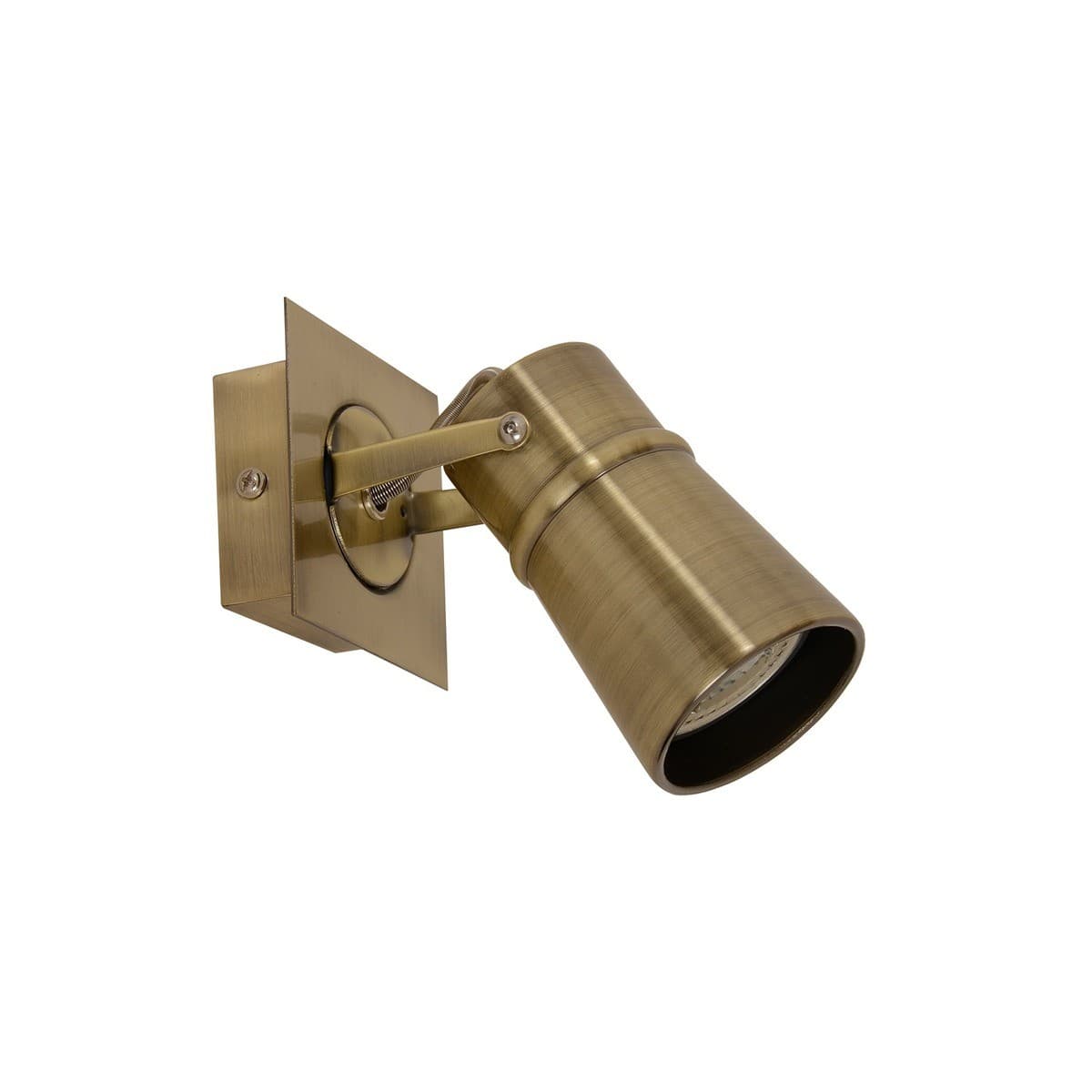 Jackson 1 Light Spotlight in Bronze