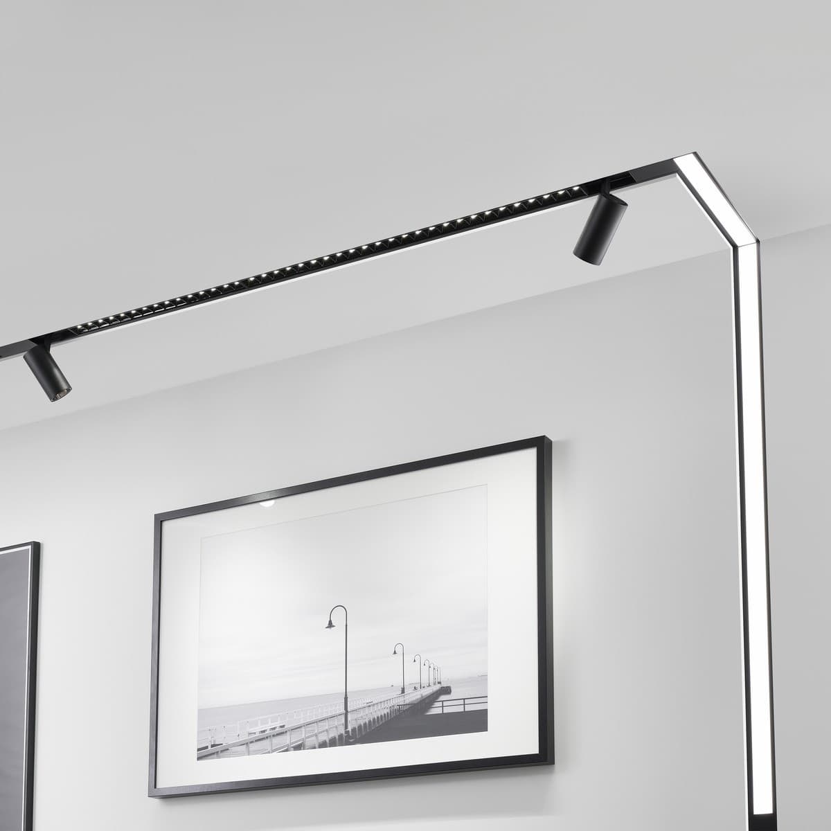 MFL Induction Medium Cylinder Track Light in Black-img-2