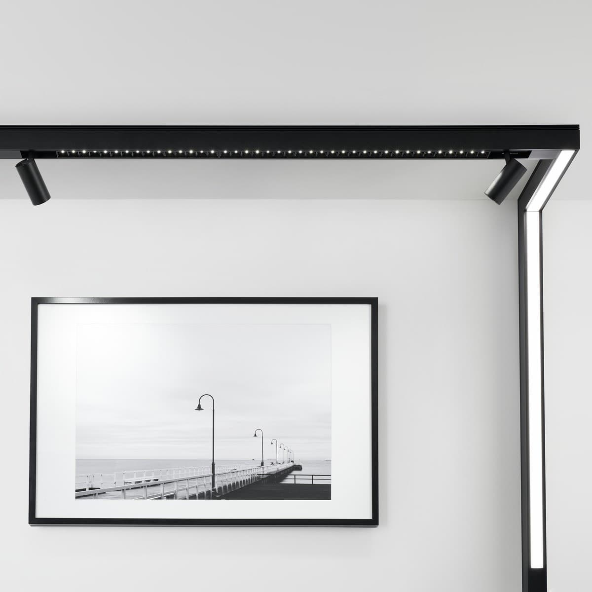 MFL Induction Medium Cylinder Track Light in Black-img-3