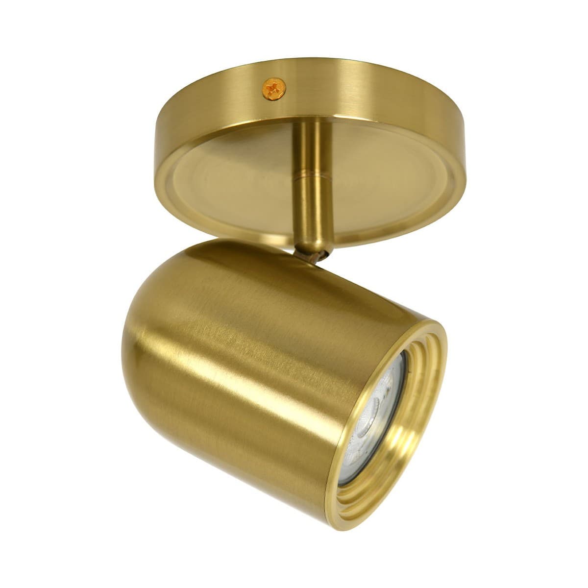 Rok 1 Light Spotlight in Aged Brass