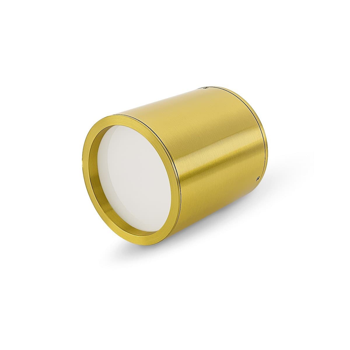 Surface 100mm LED Tri-Colour Surface Mounted Downlight in Brass-img-2