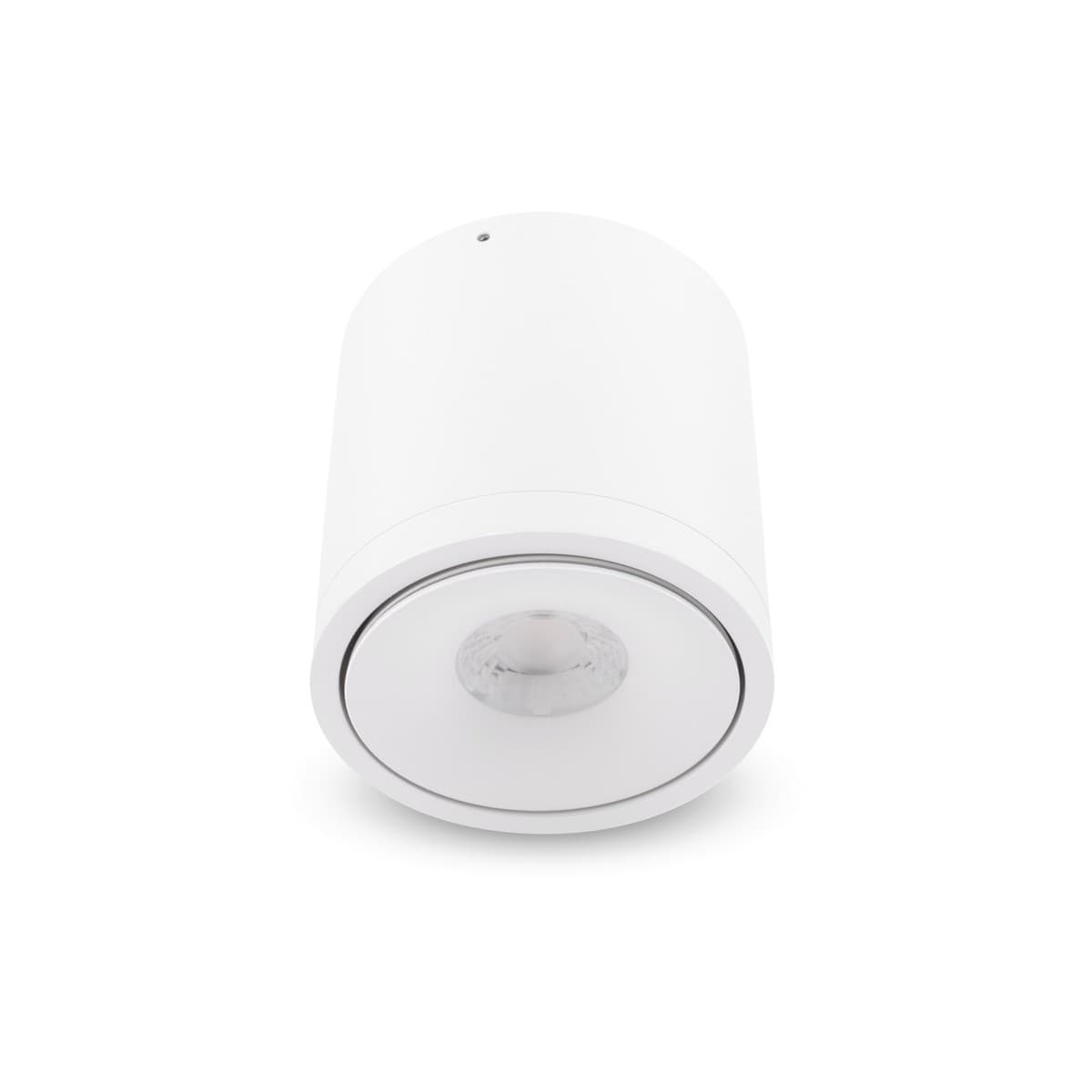 Crescent LED Adjustable Surface Mounted Downlight in White-img-1