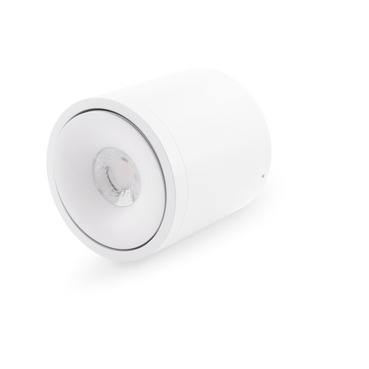 Crescent LED Adjustable Surface Mounted Downlight in White-img-2