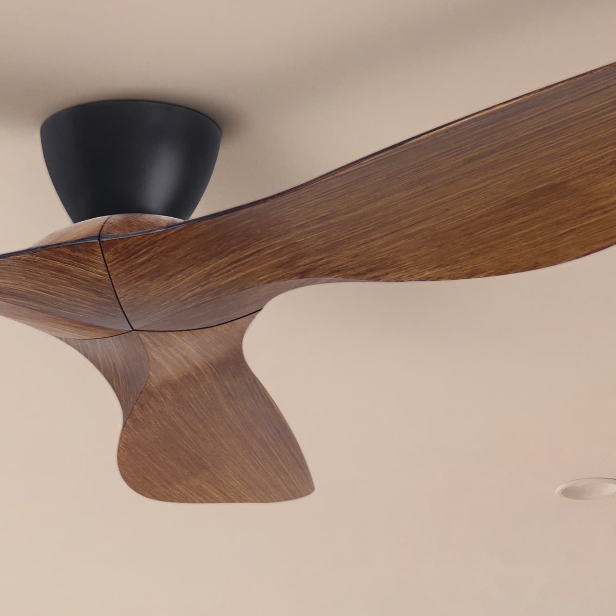 Kyber 137cm DC Close to Ceiling Fan in Black with Koa Blades