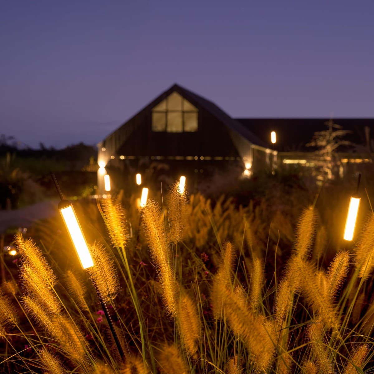 Bulrush 12/24V LED Bollard in Black-img-3