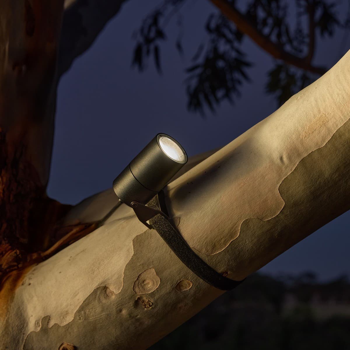 Wanaka 1 Light 12/24V Trunk Light with DIY Quick Connect in Black
