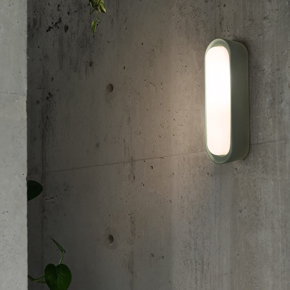 Flinders Crevice S14d Exterior Wall Sconce in Green