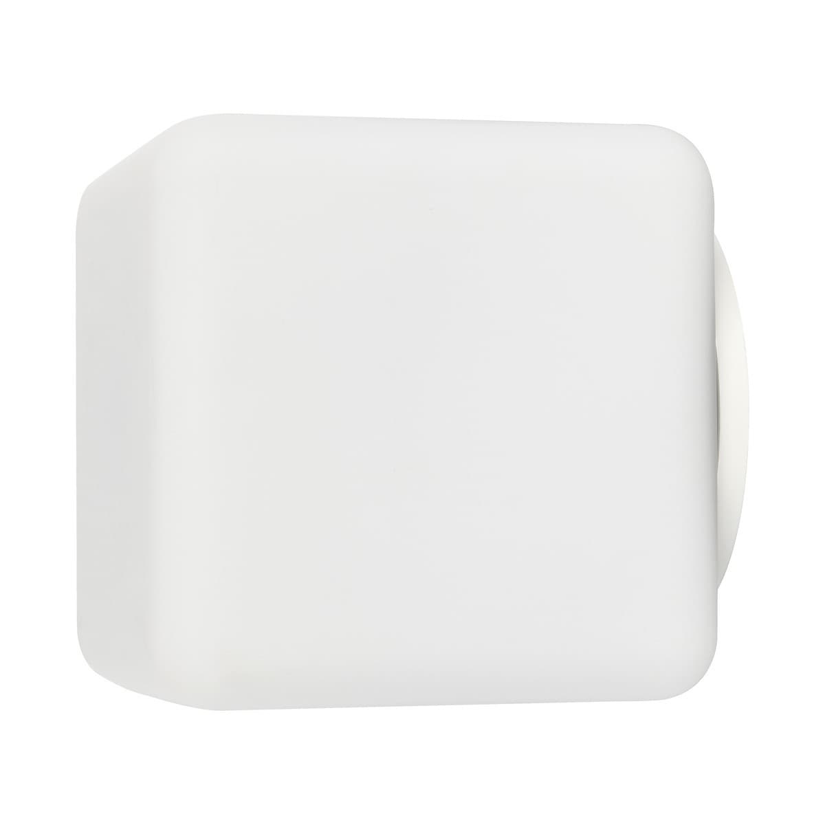 Carlotta Exterior Wall Bracket in Opal Glass-img-1