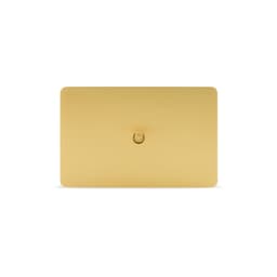 MFL Forge Modern 1 Gang Grid Plate Only in Brass