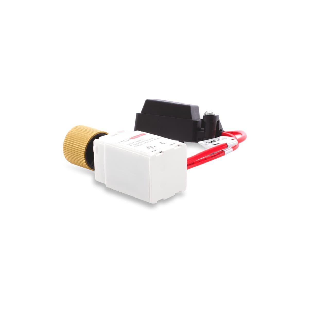 MFL Forge Textured Dimmer Detail Only in Brass-img-3