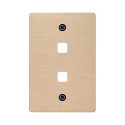 Buster + Punch 2 Gang Metal Grid Plate Only in Brass