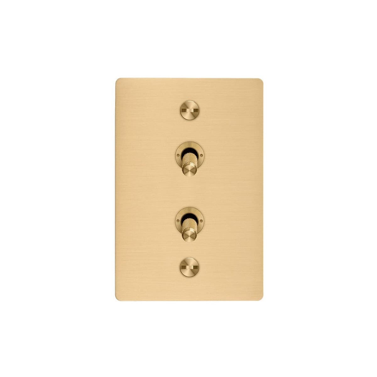 Buster + Punch 2 Gang Complete Metal Switch in Brass-img-1