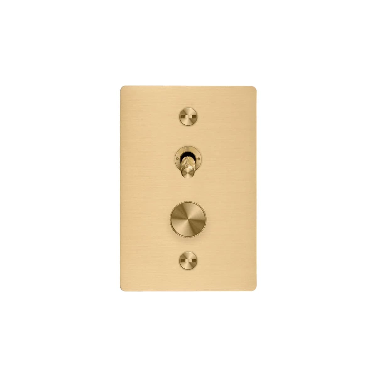 Buster + Punch 2 Gang Complete Metal Switch and Dimmer in Brass-img-1