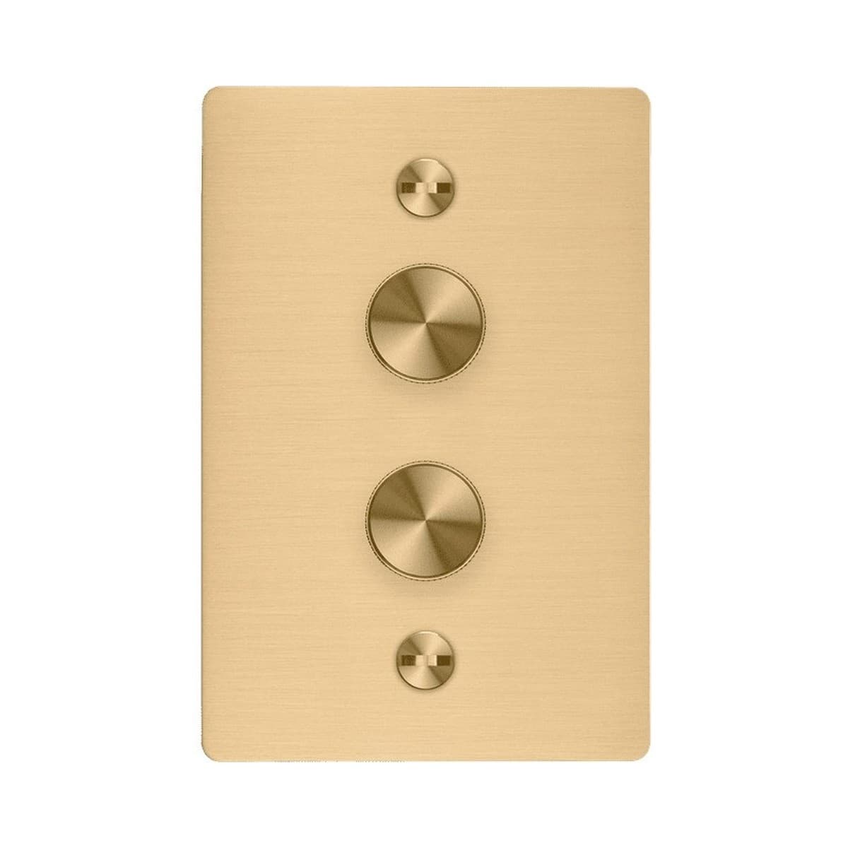 Buster + Punch 2 Gang Complete Metal Dimmer in Brass-img-1