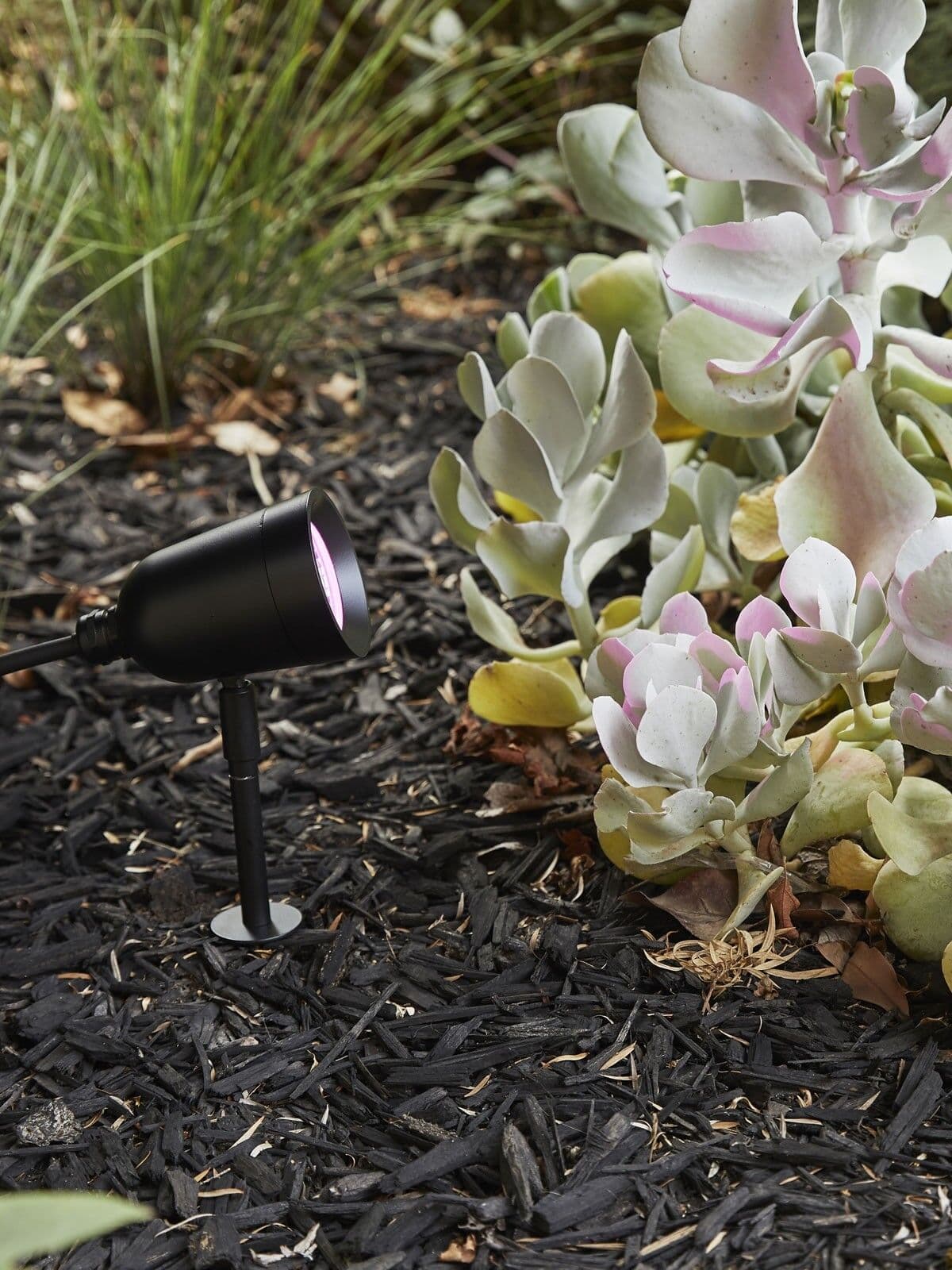 Lucci Connect Gecko LED RGB Spike Spot in Black | Beacon Lighting