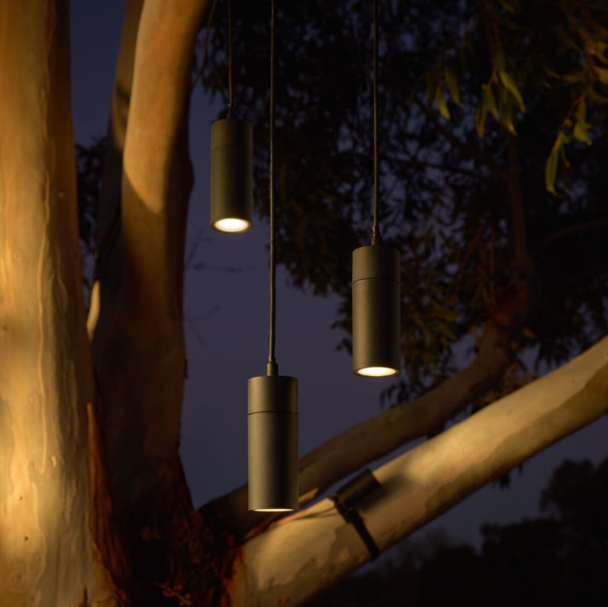 Wanaka 12v 24v pendant in black | Beacon Lighting
