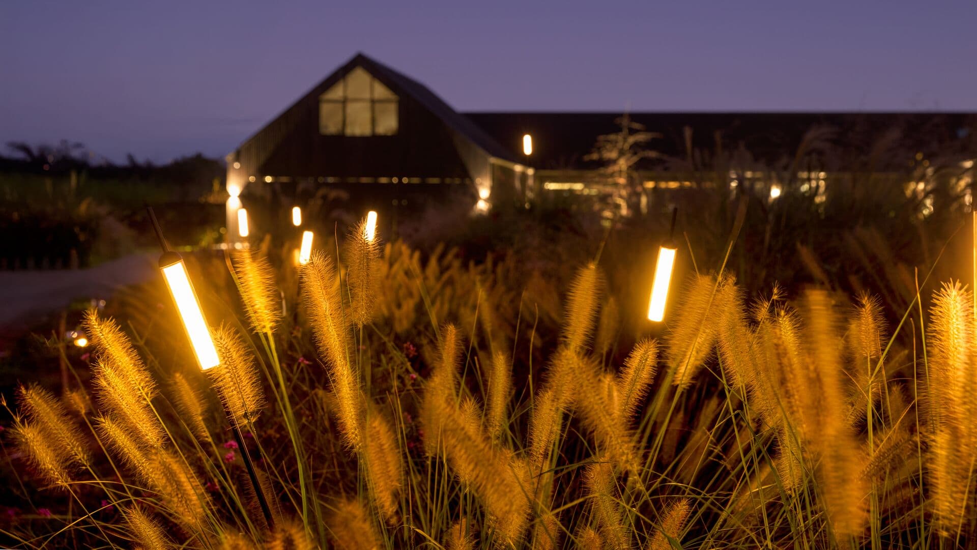 Bulrush Exterior Bollard 12V 24V | Beacon Lighting