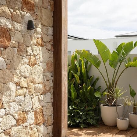 image by dotandpop containing plant, wall, terrace, deck, outdoor