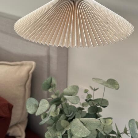 image by eldebel_designs containing lamp, plant, room, living room, pillow