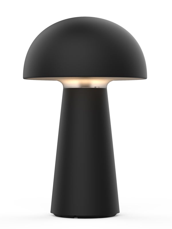 Odette LED Portable Light in Black