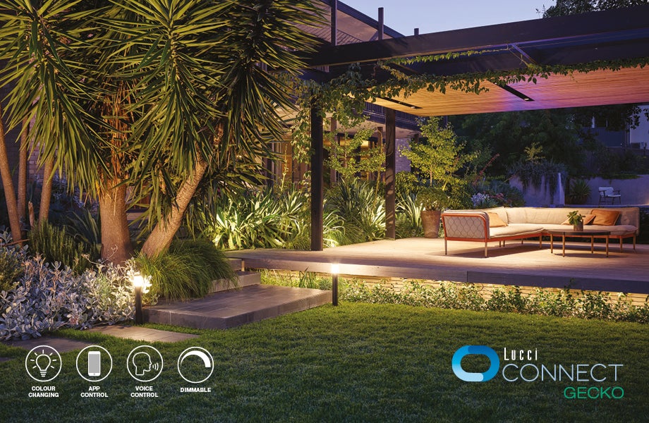 Lucci Connect Gecko Smart Lighting