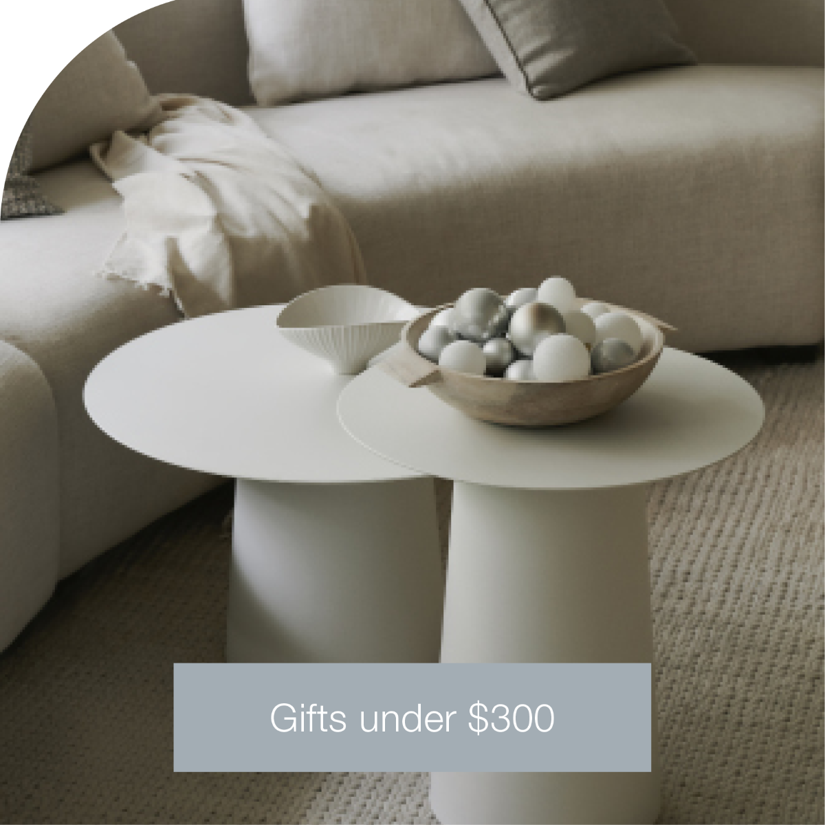Browse Our Christmas Gift Guide for Great Gift Ideas Under $300!