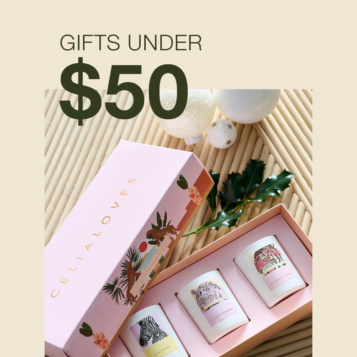 Browse Our Christmas Gift Guide for Great Gift Ideas Under $50!