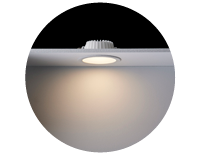 Buddy Downlights