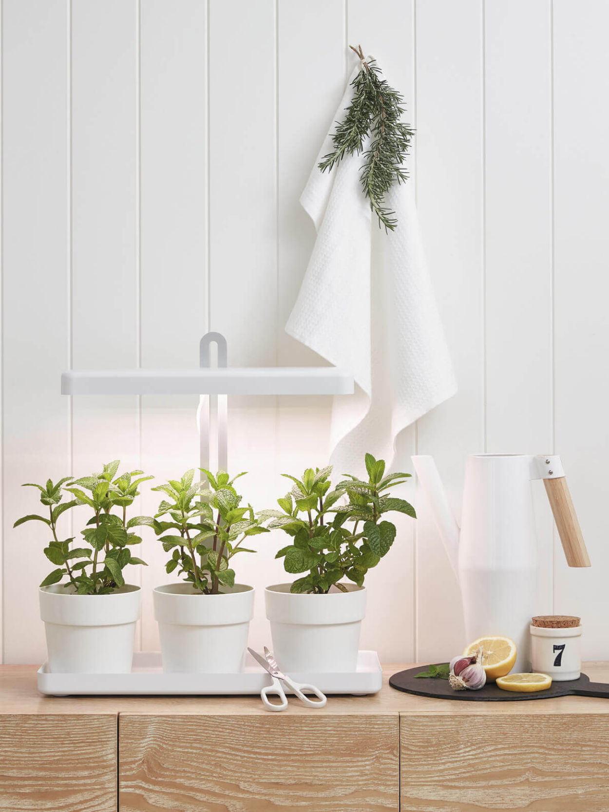 White LED light that helps grow indoor plants 