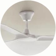 Fans with remotes