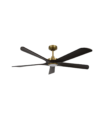 Ceiling Fans